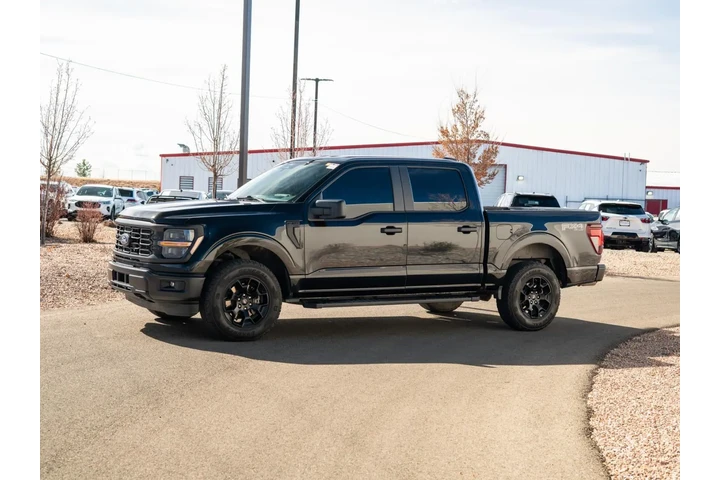 2025 F-150 STX image 9