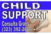 █►MODIFICAMOS TU CHILD SUPPORT en Los Angeles