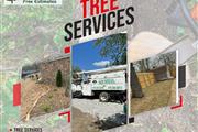 Caceres Tree Service en Springdale