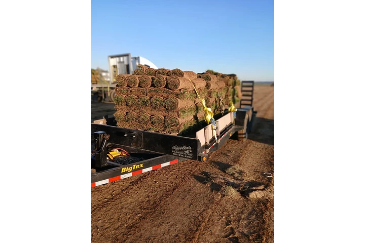 🌳GARCIA LANDSCAPING🌳 image 8