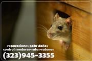 ROEDORES-RATAS-RATONES CONTROL thumbnail