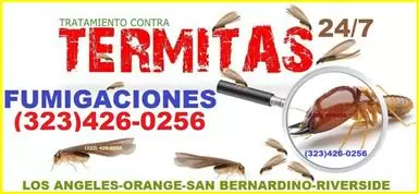 Termitas Riverside County. image 3