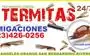 Termitas Riverside County. thumbnail
