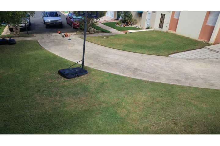 (JSLANDSCAPE) +17879420642 image 2