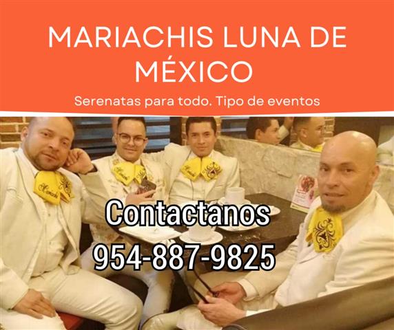 Mariachis serenatas Mexicana image 1