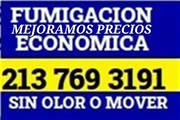 FUMIGACION BARATA 2137693191