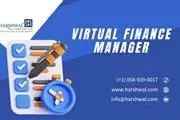 financial manager