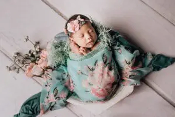 Houston Newborn Photographer image 1