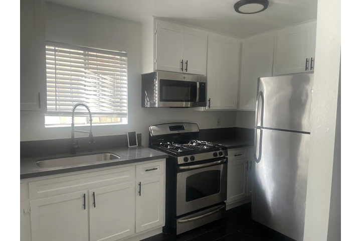 $2450 : 132 EAST ADAMS BLVD image 6