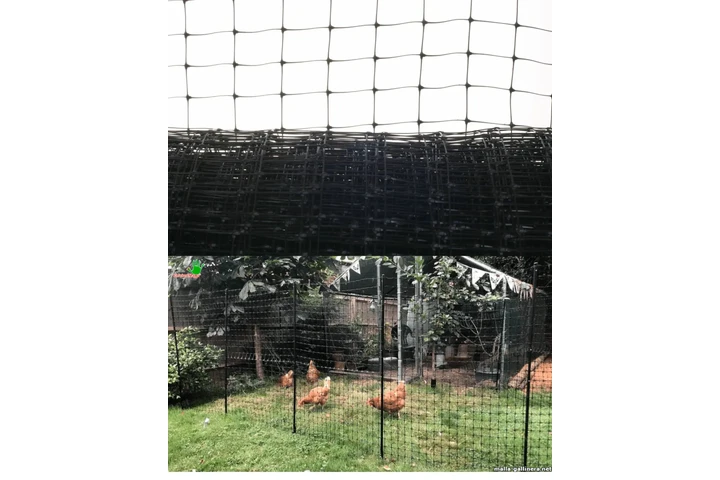 $1 : Malla Gallinera Plástica image 2