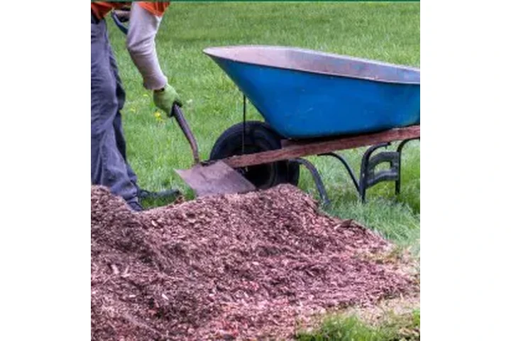 🌳 JARDINERÍA Y LANDSCAPING 🌳 image 5