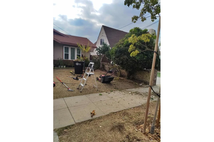 Corte de pasto 🏡$35 image 7