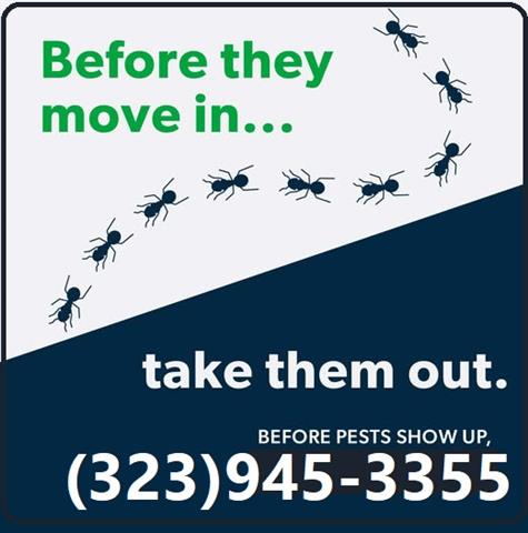 PEST CONTROL MAYWOOD - 24/7 image 3