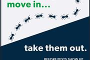 PEST CONTROL MAYWOOD - 24/7 thumbnail