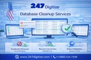 Database Cleanup Services en Chicago