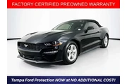 Ford Mustang 2019 EcoBoost 2 en Tampa