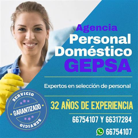 Servicio Doméstico GEPSA. image 1