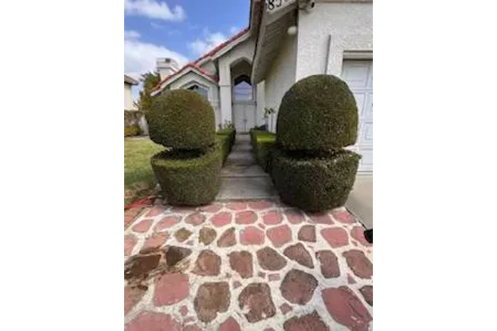 JARDINERÍA EN GENERAL image 5