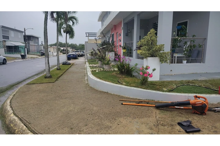 (JSLANDSCAPE) +17879420642 image 5